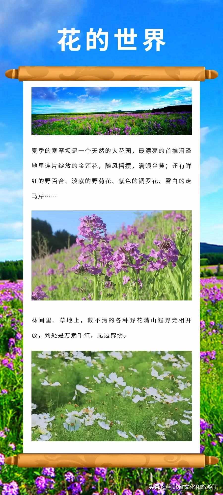 河北承德塞罕壩——波瀾壯闊的曠世之美