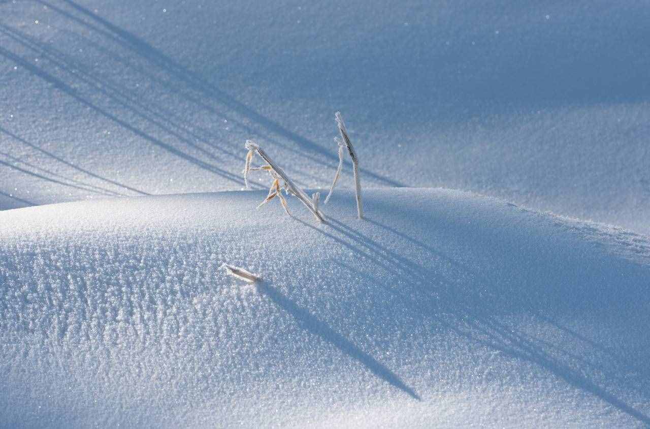 16首經(jīng)典詠雪詩詞，冬如畫，雪如詩，賞盡冬雪之雪