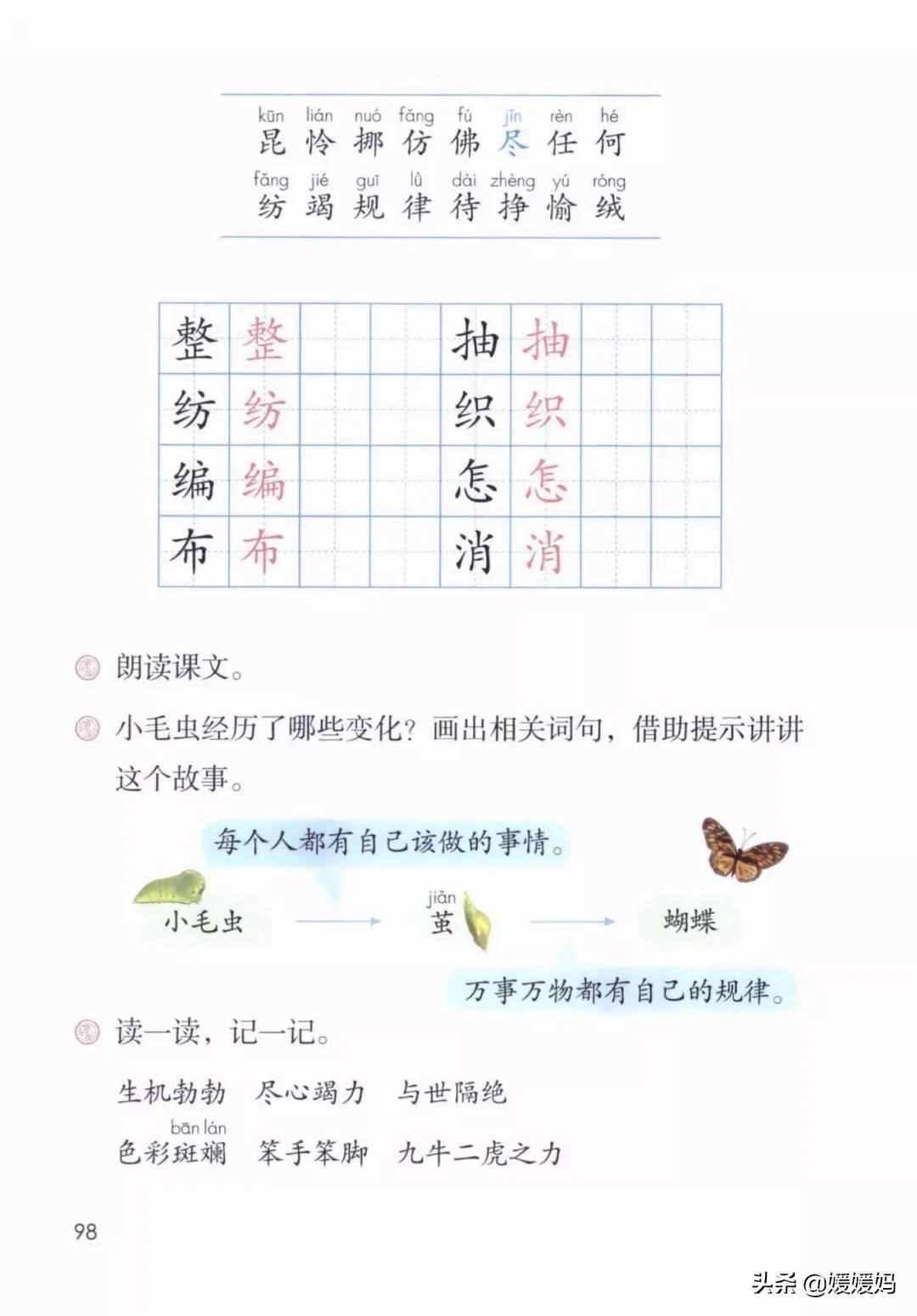 二年級下冊語文課文22《小毛蟲》圖文詳解及同步練習