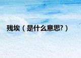 殘埃（是什么意思?）