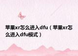 蘋果xr怎么進(jìn)入dfu（蘋果xr怎么進(jìn)入dfu模式）