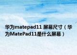 華為matepad11 屏幕尺寸（華為MatePad11是什么屏幕）