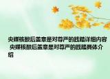 央媒核酸后蓋章是對尊嚴的踐踏詳細內(nèi)容 央媒核酸后蓋章是對尊嚴的踐踏具體介紹