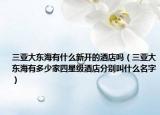 三亞大東海有什么新開的酒店嗎（三亞大東海有多少家四星級酒店分別叫什么名字）