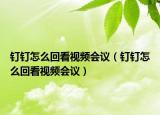 釘釘怎么回看視頻會(huì)議（釘釘怎么回看視頻會(huì)議）
