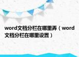 word文檔分欄在哪里弄（word文檔分欄在哪里設置）