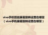 vivo手機智能屏幕旋轉(zhuǎn)設(shè)置在哪里（vivo手機屏幕旋轉(zhuǎn)設(shè)置在哪里）