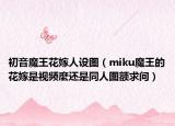 初音魔王花嫁人設(shè)圖（miku魔王的花嫁是視頻麼還是同人圖額求問）