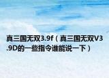 真三國無雙3.9f（真三國無雙V3.9D的一些指令誰能說一下）