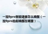 一加9pro智能語音怎么喚醒（一加9pro抬起喚醒在哪里）