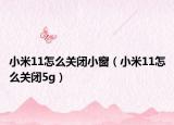 小米11怎么關(guān)閉小窗（小米11怎么關(guān)閉5g）