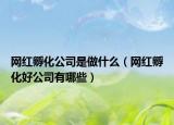 網(wǎng)紅孵化公司是做什么（網(wǎng)紅孵化好公司有哪些）