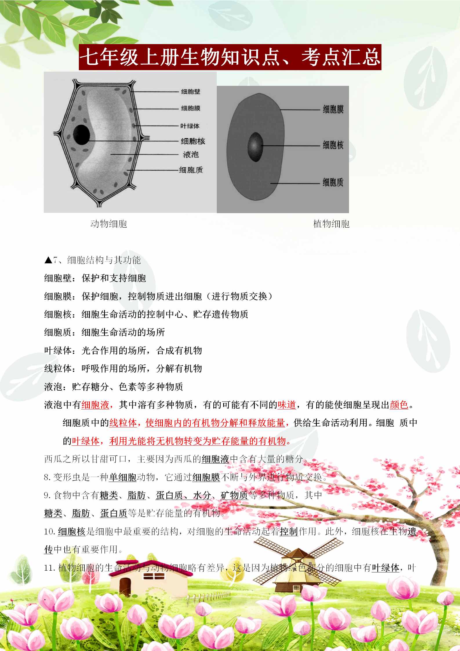 七年級(jí)上冊(cè)生物必背知識(shí)點(diǎn)、考點(diǎn)匯總，這樣背記節(jié)省80%的時(shí)間