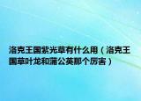 洛克王國紫光草有什么用（洛克王國草葉龍和蒲公英那個厲害）