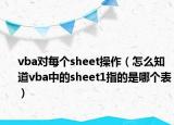 vba對(duì)每個(gè)sheet操作（怎么知道vba中的sheet1指的是哪個(gè)表）