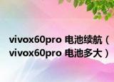 vivox60pro 電池續(xù)航（vivox60pro 電池多大）