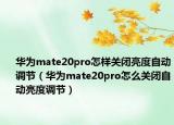 華為mate20pro怎樣關閉亮度自動調(diào)節(jié)（華為mate20pro怎么關閉自動亮度調(diào)節(jié)）