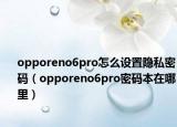 opporeno6pro怎么設(shè)置隱私密碼（opporeno6pro密碼本在哪里）