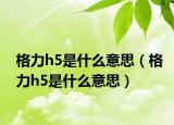 格力h5是什么意思（格力h5是什么意思）