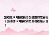 凱迪仕tk1指紋鎖怎么設置時效密鑰（凱迪仕tk1指紋鎖怎么設置提示音）