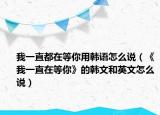 我一直都在等你用韓語(yǔ)怎么說(shuō)（《我一直在等你》的韓文和英文怎么說(shuō)）