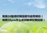 魅族18敏感權(quán)限提醒功能有哪些（魅族18pro怎么關(guān)閉敏感權(quán)限提醒）