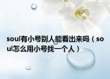 soul有小號別人能看出來嗎（soul怎么用小號找一個人）