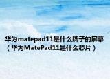 華為matepad11是什么牌子的屏幕（華為MatePad11是什么芯片）