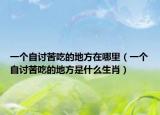 一個(gè)自討苦吃的地方在哪里（一個(gè)自討苦吃的地方是什么生肖）
