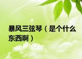 暴風(fēng)三弦琴（是個什么東西?。? /></span></a>
                        <h2><a href=
