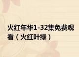 火紅年華1-32集免費觀看（火紅葉綠）