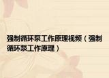 強(qiáng)制循環(huán)泵工作原理視頻（強(qiáng)制循環(huán)泵工作原理）