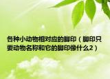 各種小動(dòng)物相對(duì)應(yīng)的腳?。_印只要?jiǎng)游锩Q(chēng)和它的腳印像什么2）