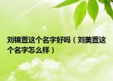 劉錦萱這個(gè)名字好嗎（劉美萱這個(gè)名字怎么樣）