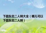 下載東北二人轉(zhuǎn)大全（哪兒可以下載東北二人轉(zhuǎn)）