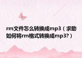 rm文件怎么轉換成mp3（求助如何將rm格式轉換成mp3?）