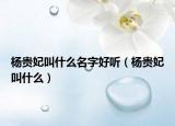 楊貴妃叫什么名字好聽（楊貴妃叫什么）
