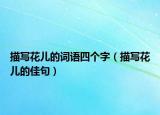 描寫花兒的詞語四個字（描寫花兒的佳句）