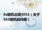 6s刷機出現(xiàn)3053（關(guān)于E63刷機的問題）