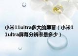 小米11ultra多大的屏幕（小米11ultra屏幕分辨率是多少）