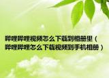 嗶哩嗶哩視頻怎么下載到相冊里（嗶哩嗶哩怎么下載視頻到手機(jī)相冊）