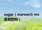 sugar（maroon5 mv是真的嗎）