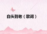 白頭到老（歌詞）