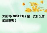 太陽鳥(300123)（是一支什么樣的股票呢）