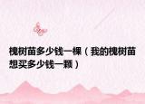 槐樹苗多少錢一棵（我的槐樹苗想買多少錢一顆）