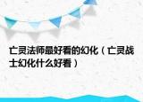 亡靈法師最好看的幻化（亡靈戰(zhàn)士幻化什么好看）