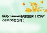 歐尚cosmos科尚的圖片（歐尚COSMOS怎么樣）