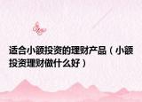 適合小額投資的理財產品（小額投資理財做什么好）