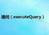 請問（executeQuery）