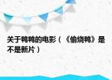 關(guān)于鴨鴨的電影（《偷燒鴨》是不是新片）